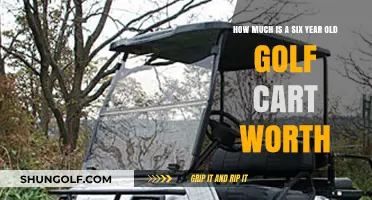 Valuing Your Six-Year-Old Golf Cart: Factors Affecting Its Worth