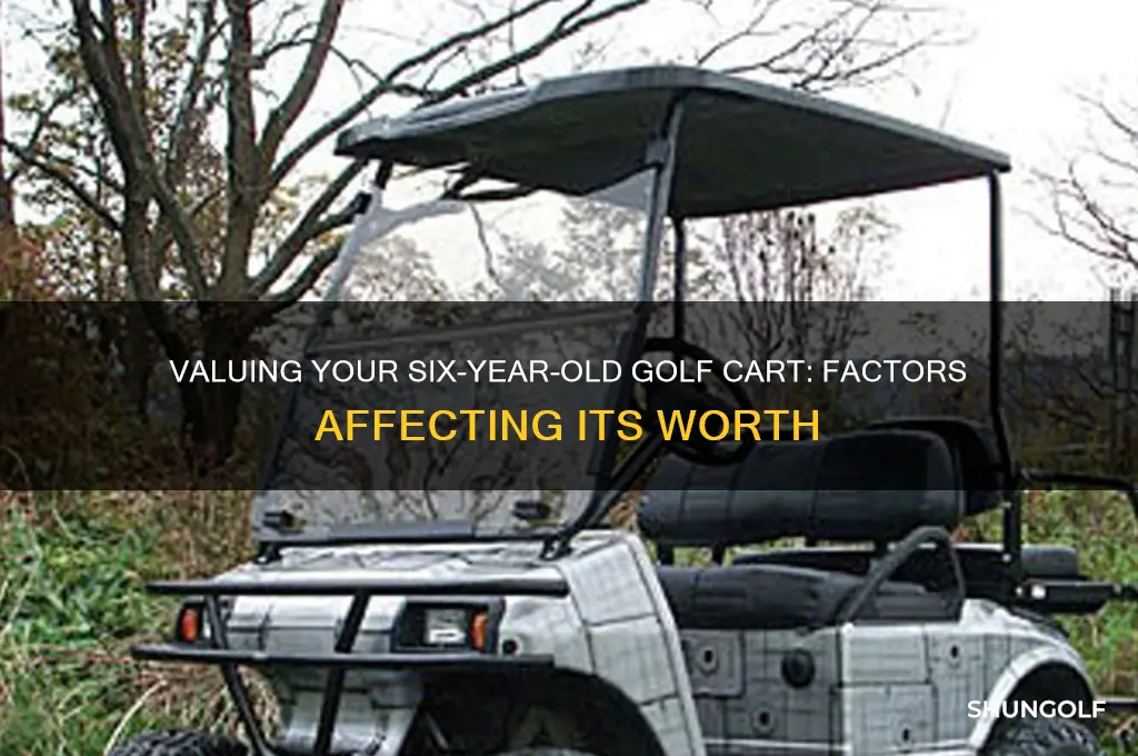 how much is a six year old golf cart worth