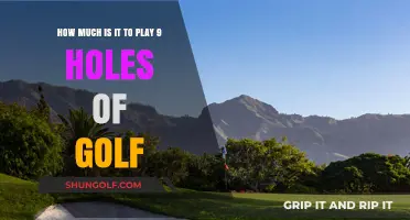 Exploring the Cost of Playing a Quick 9 Holes of Golf