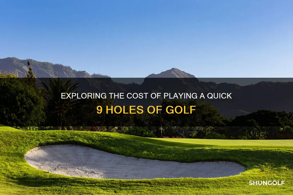 how much is it to play 9 holes of golf