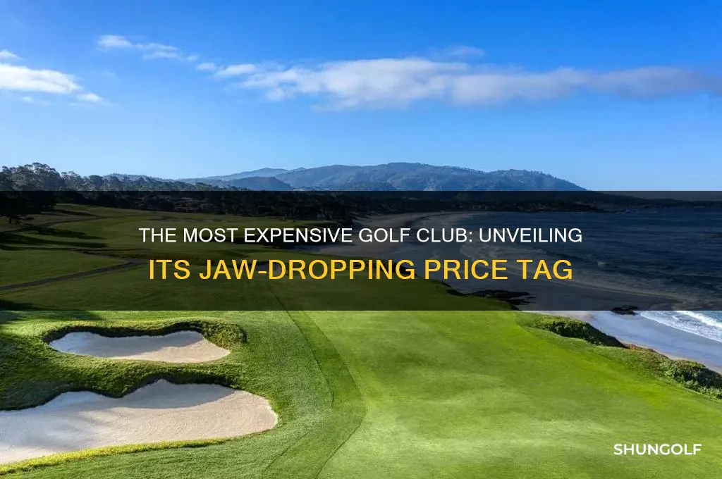 how much is the most expensive golf club