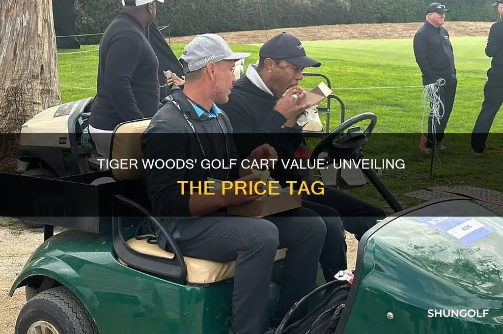 how much is tiger woods golf cart worth