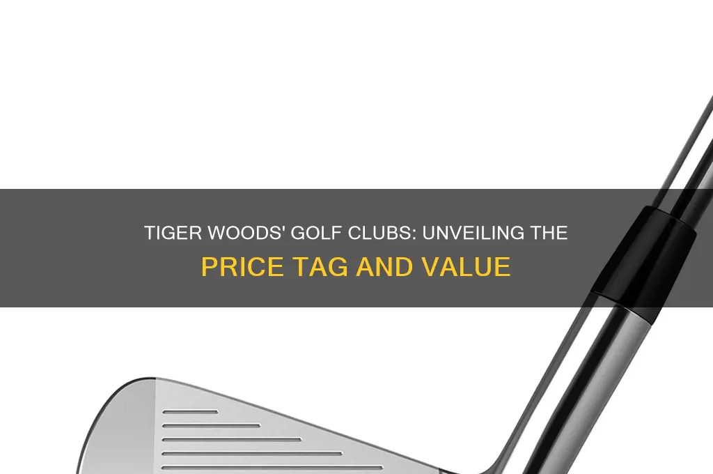 how much is tiger woods golf clubs