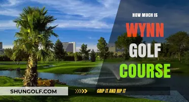 Wynn Golf Course Cost: Unveiling the Price of Luxury Greens