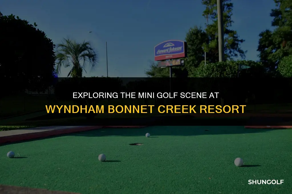 how much mini golf wyndham bonnet creek