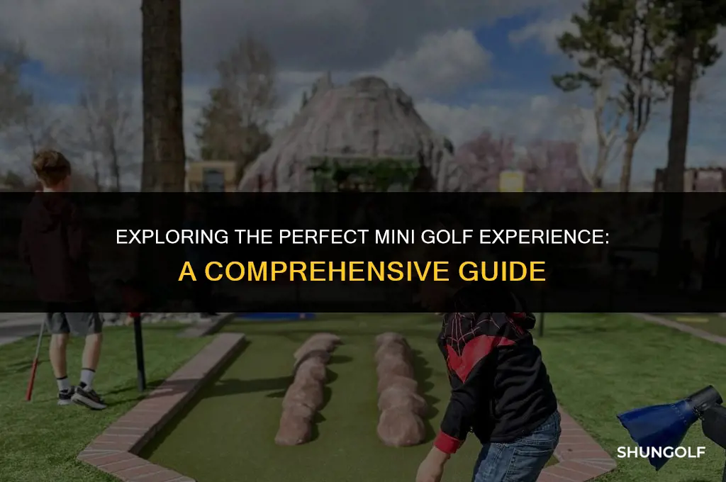 how much mini golf