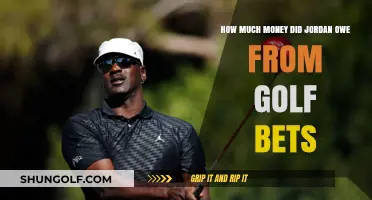 Swing and a Debt: Uncovering Jordan's Golf Betting Losses