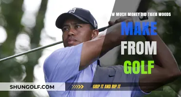 Tiger Woods' Golf Earnings: A Hole-in-One Financial Success Story