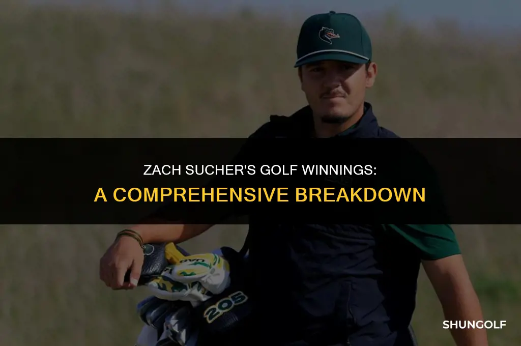 how much money did zach sucher win in golf
