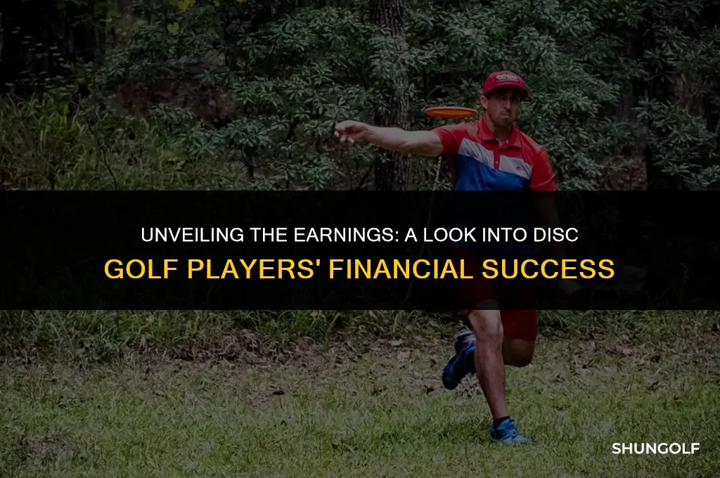 how much money do disc golf players make