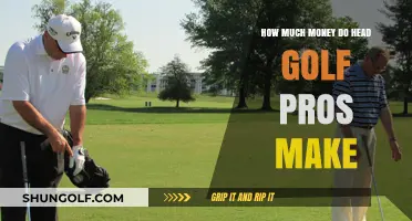 Unveiling the Lucrative World of Head Golf Pros' Earnings