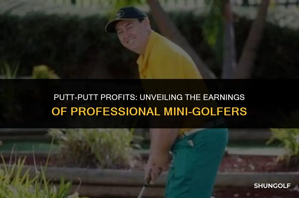 how much money does a pro putt putt golf make
