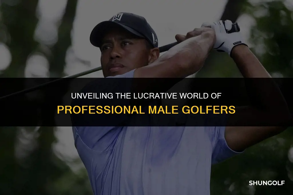 how much money does a professional golfer male
