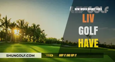 Exploring LIV Golf's Financial Power: A Deep Dive into Its Riches