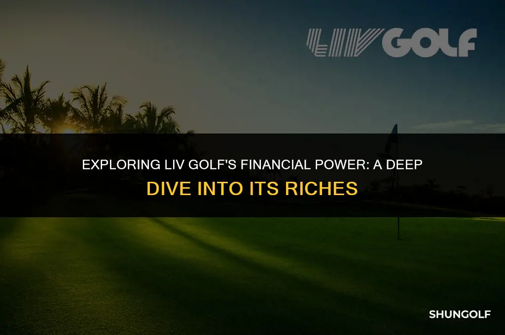 how much money does liv golf have