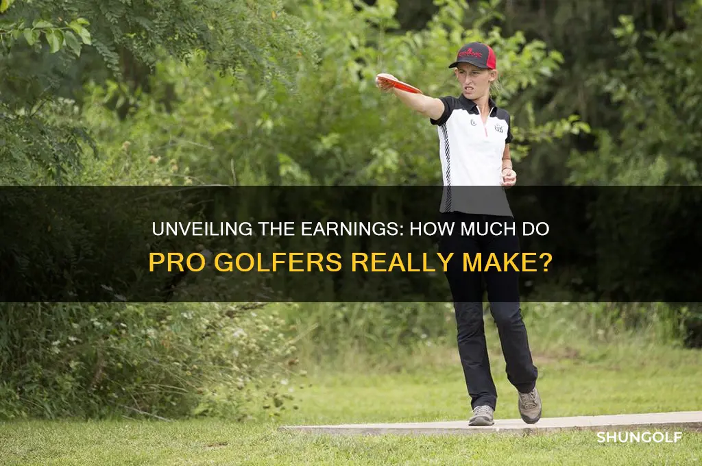 how much money in player golf pros make