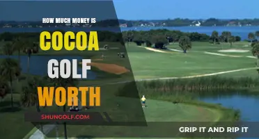Exploring the Lucrative World of Cocoa Golf: A Financial Overview