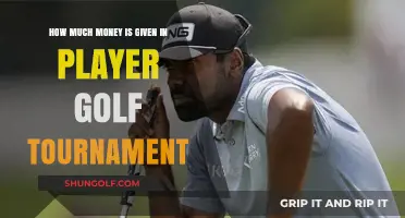 Unveiling the Prize Money in Professional Golf Tournaments