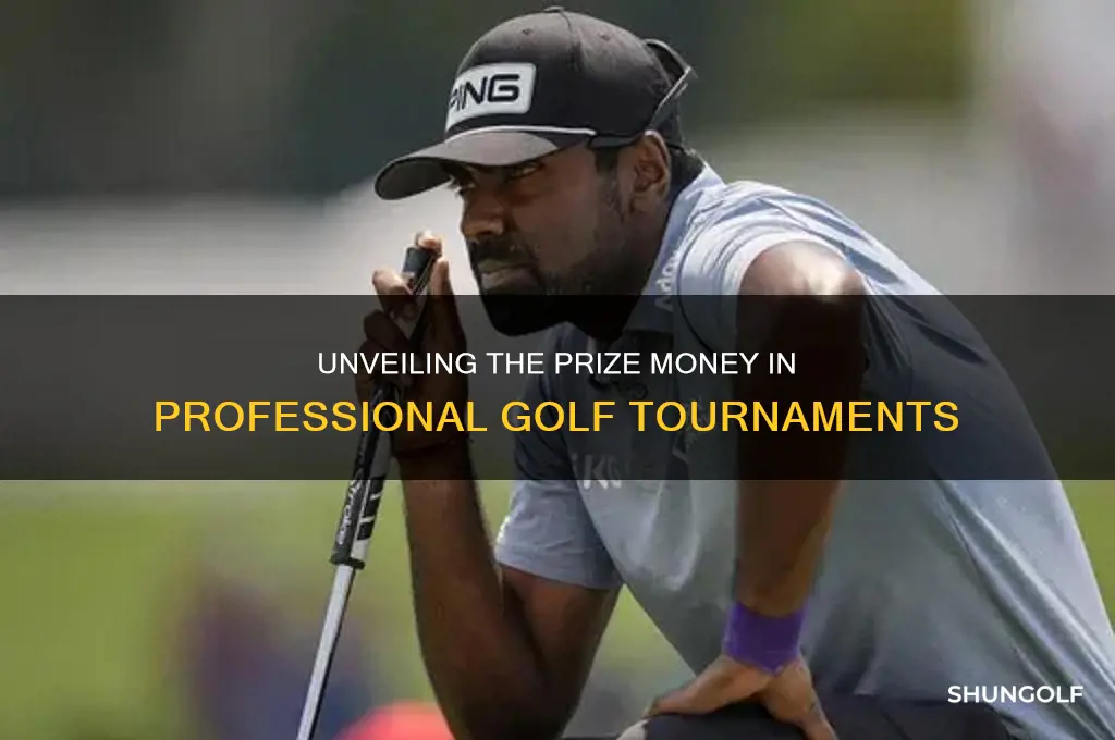 how much money is given in player golf tournament