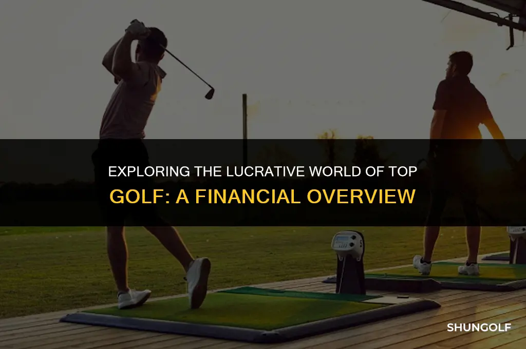 how much money is top golf