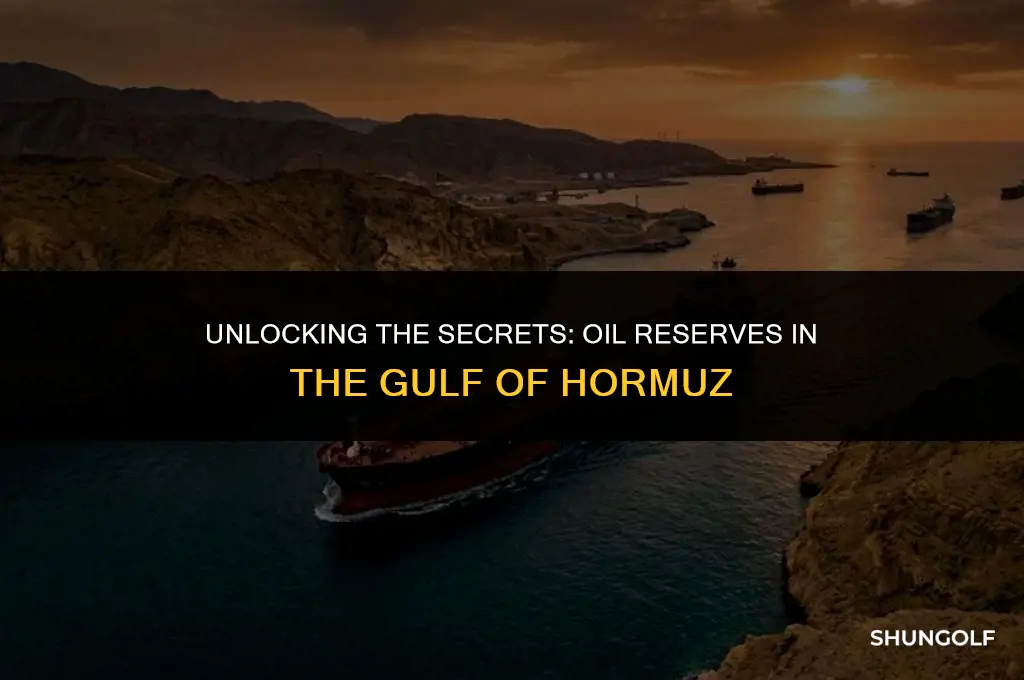 how much oil in golf of hormuz
