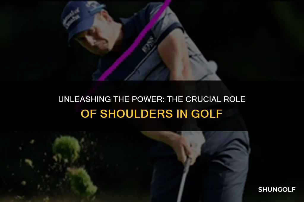 how much power do the shoulders supply in golf