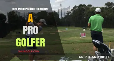 From Amateur to Pro: The Journey of a Golfer's Practice