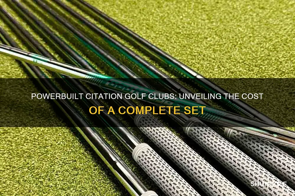 how much set of powerbuilt citation golf clubs cost