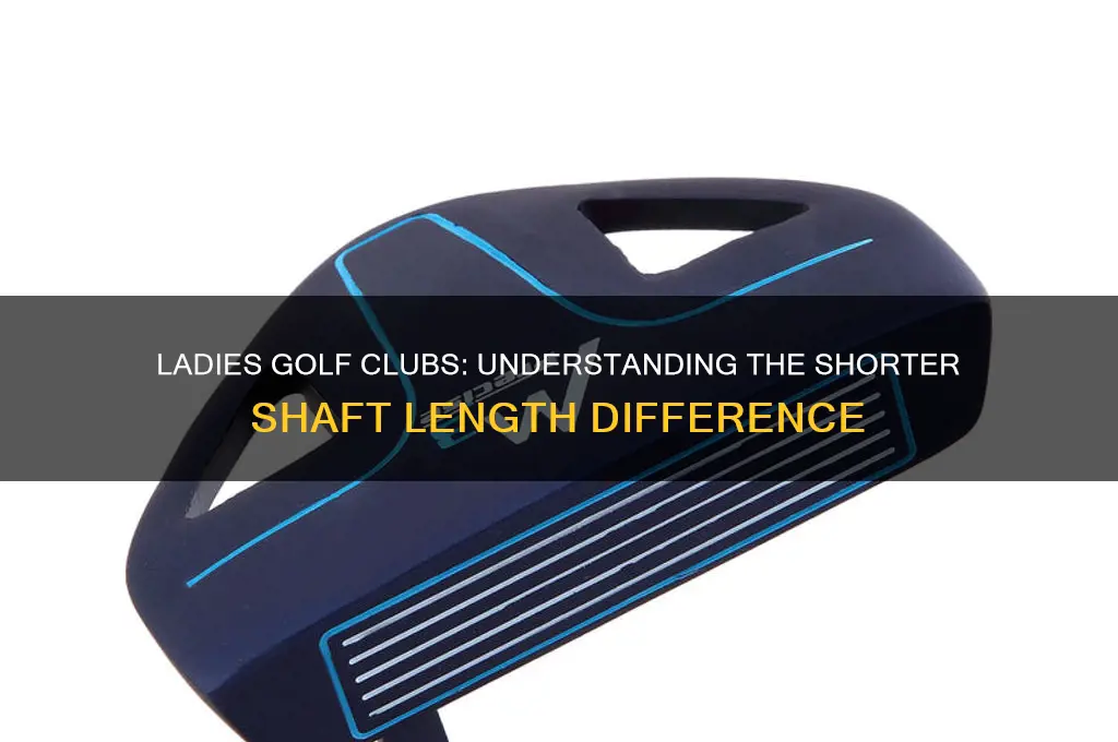 how much shorter are ladies golf clubs