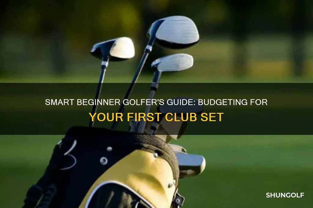 how much should a beginner golfer spend on clubs