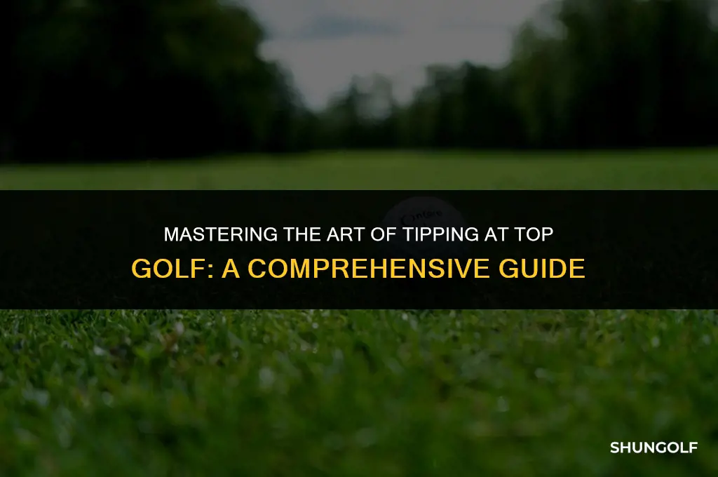 how much should you tip at top golf