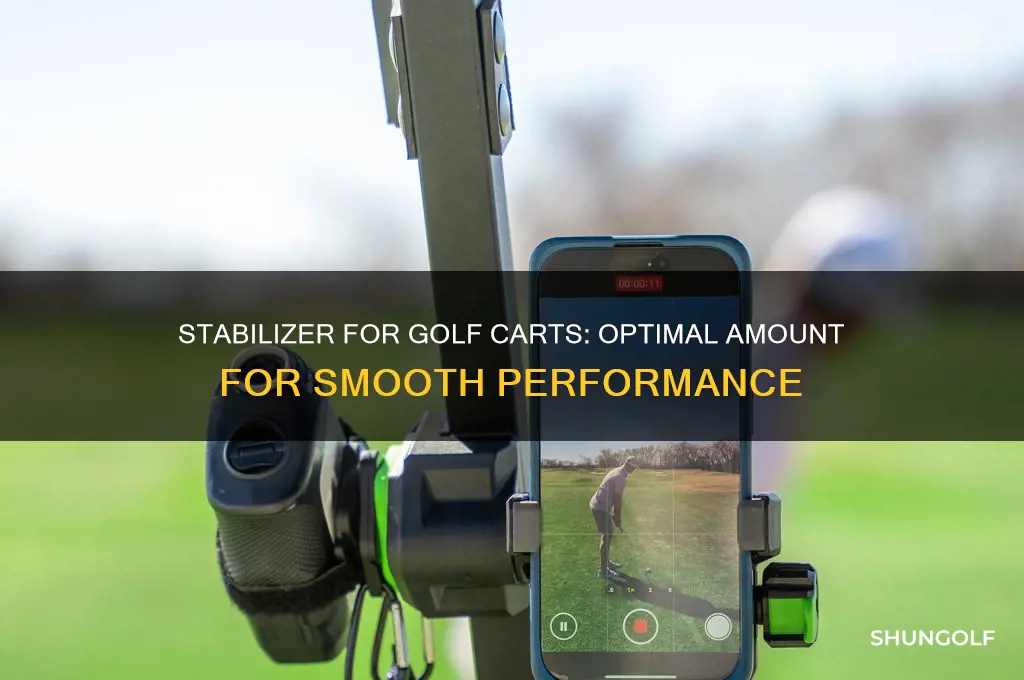 how much stabilto put in a golf cart