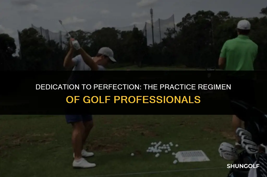 how much time do golf pros practice