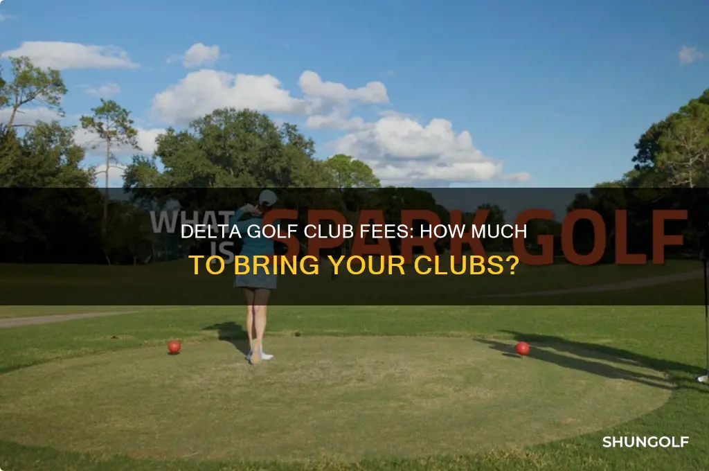how much to bring golf clubs on delta