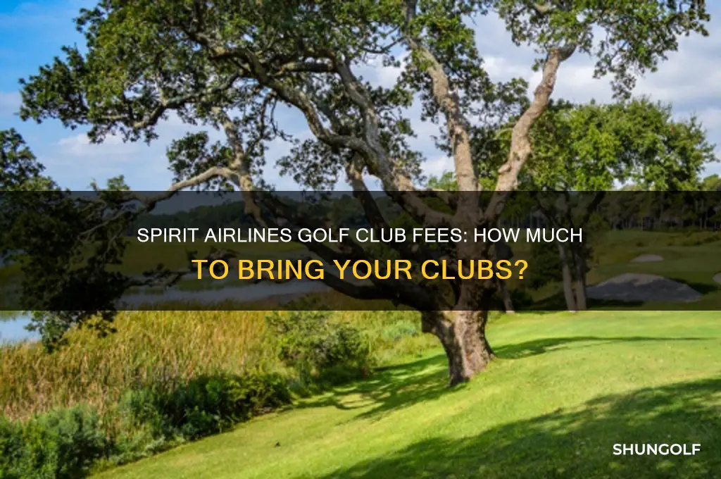 how much to bring golf clubs on spirit airlines