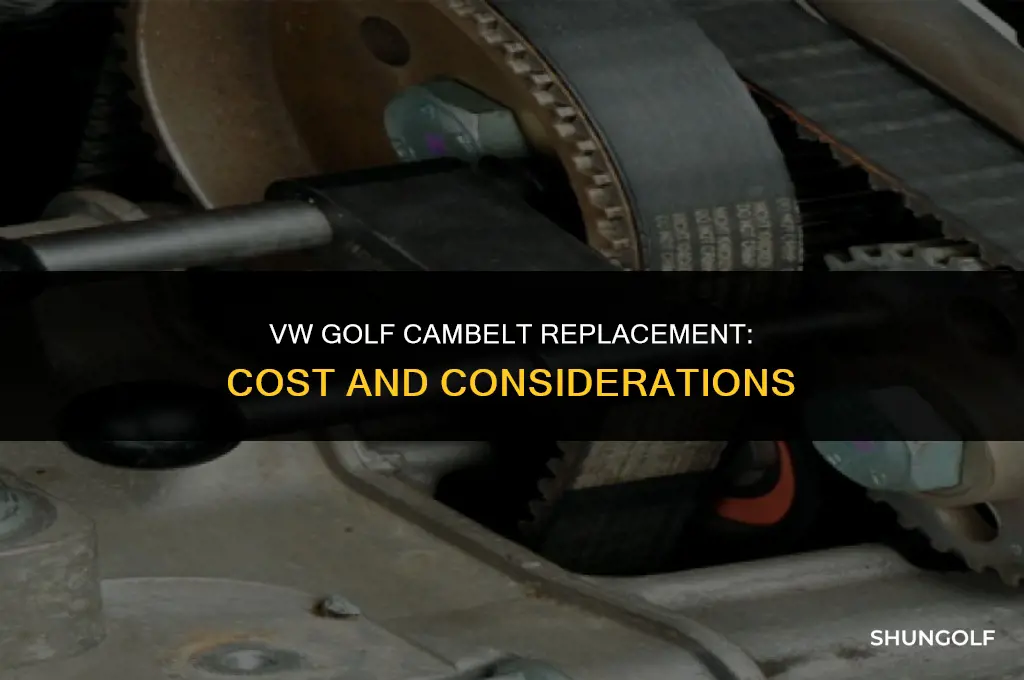 how much to change a cambelt on a vw golf