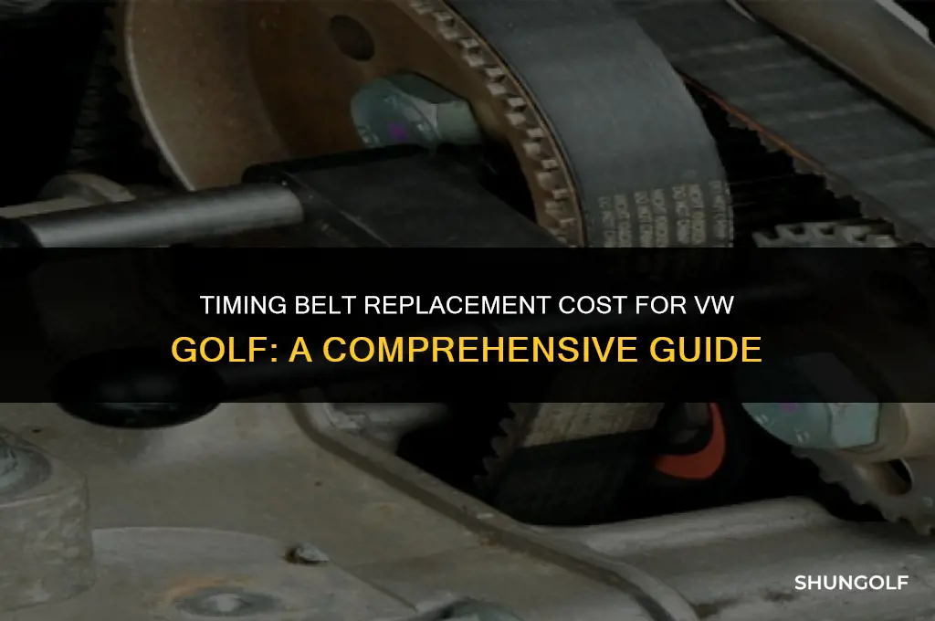 how much to change a timing belt vw golf