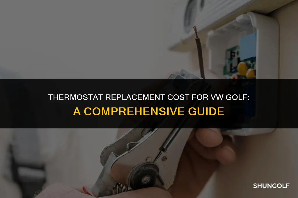 how much to charge for replacing thermostat on vw golf