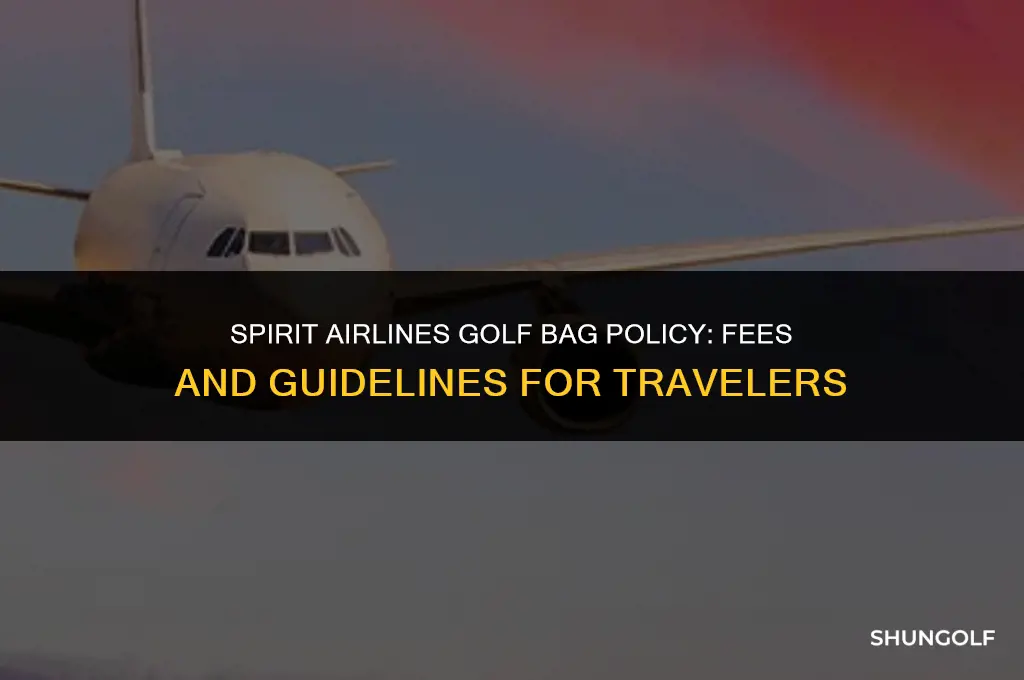 how much to check a golf bag on spirit airlines