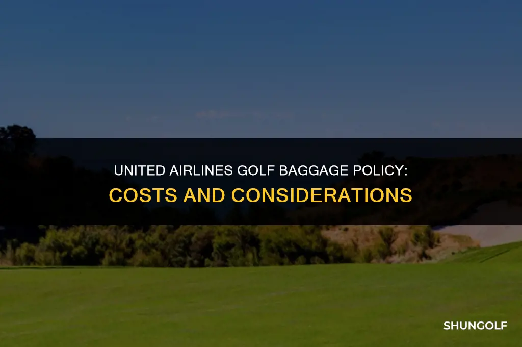 how much to check a golf bag on united