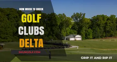 Delta Golf Club Baggage Fees: Cost to Check Your Clubs