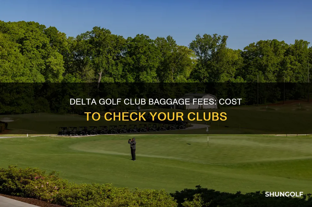 how much to check golf clubs delta