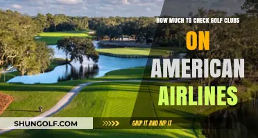 American Airlines Golf Club Fees: What to Expect for Checked Bags