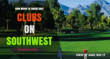 Southwest Airlines Golf Club Fees: Cost Guide for Travelers