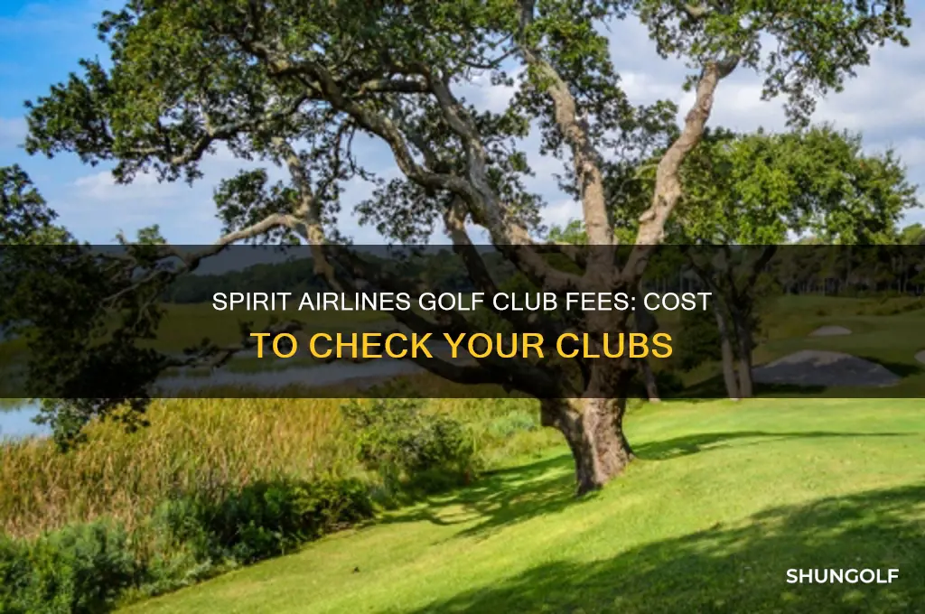 how much to check golf clubs on spirit