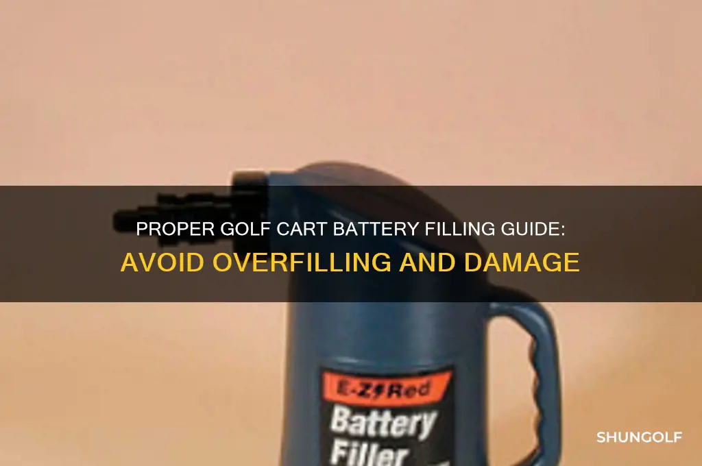 how much to fill golf cart batteries