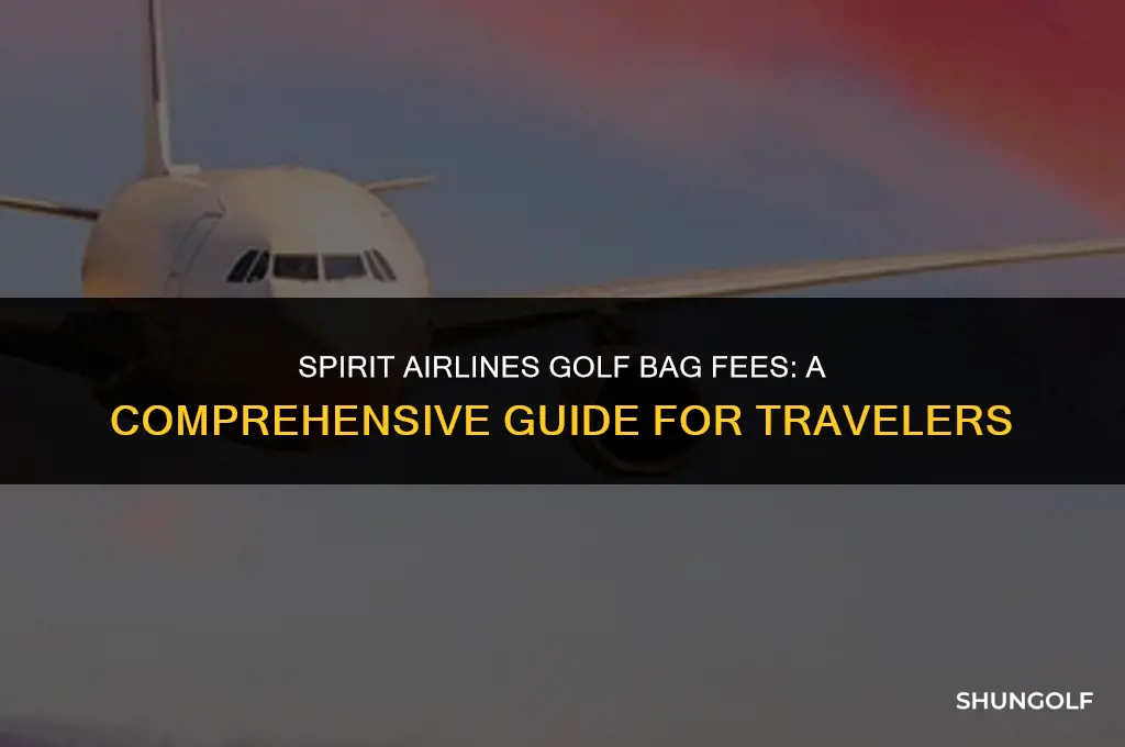 how much to fly a golf bag on spirit