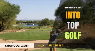 Unlocking the Green: The Cost of Climbing the Golf Rankings