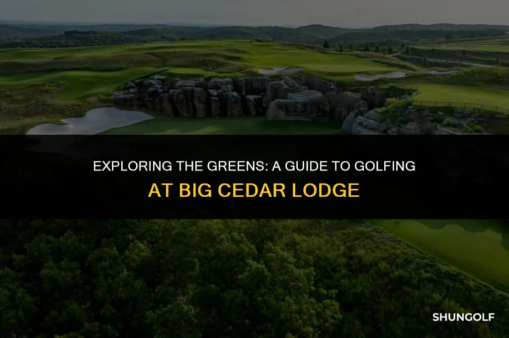 how much to golf at big cedar lodge