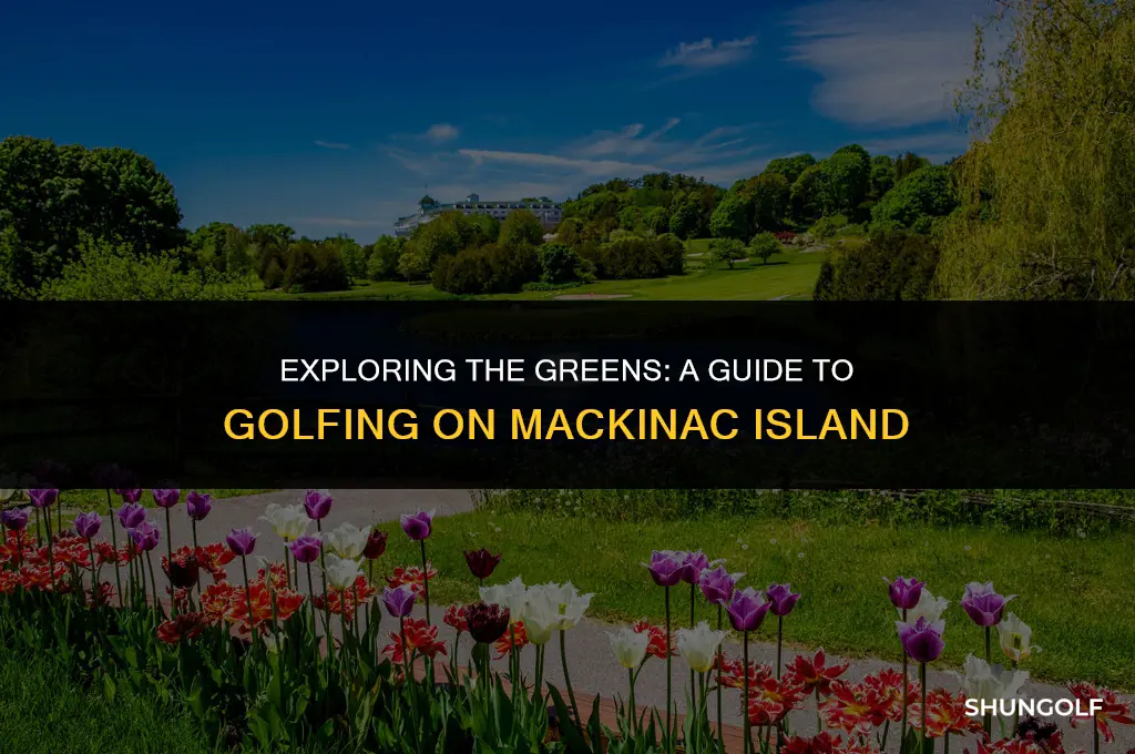 how much to golf at mackinac island